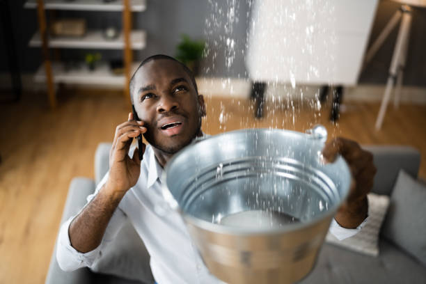 Best Water damage restoration near me  in Madison, WV