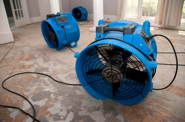 Best 24/7 water damage repair  in Madison, WV